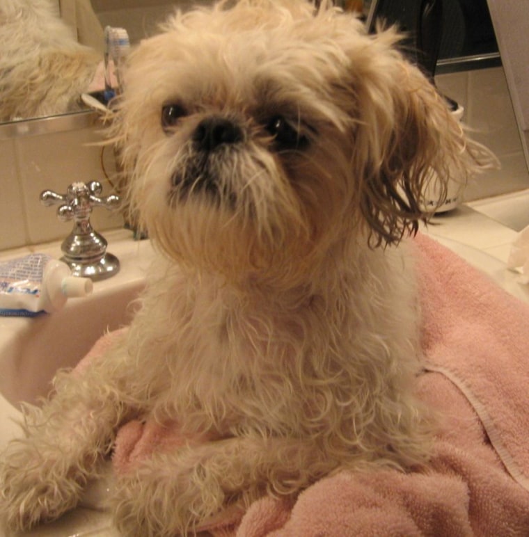 Bobo's first bath. I sense skepticism...