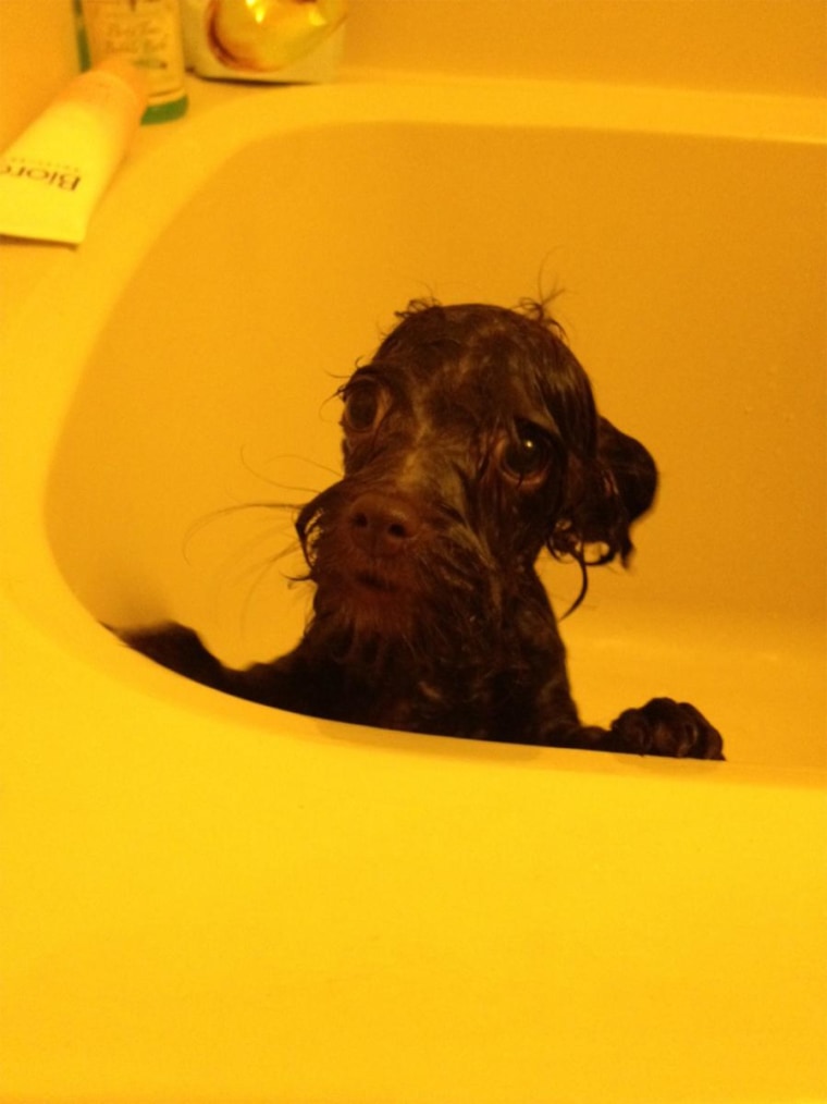 Why me? Rhea, unhappily, takes a bath.