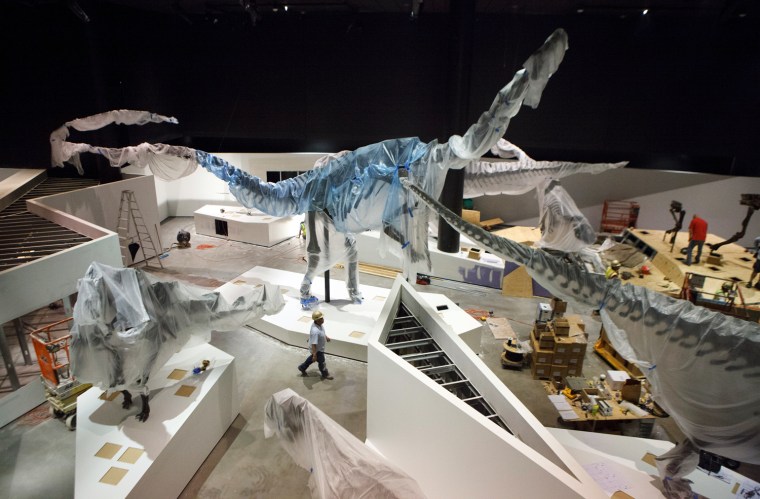 Workers finish the new Hall of Paleontology at the Houston Museum of Natural Science. The $85 million wing of the museum will have the only Triceratops skin found to date and a unique T-rex fossil with complete hands.
