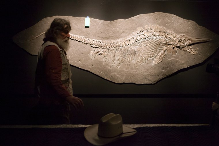 Robert Bakker, curator of paleontology, shows a fossil of a Ichthyosaur and unborn pups that will be on display in the new Hall of Paleontology at the Houston Museum of Natural Science. The $85 million wing of the museum that opens June 2 will have the only Triceratops skin found to date and a unique Tyrannosaurus Rex fossil with complete hands.