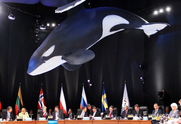The members of the Council of the Baltic Sea States sit under a model of a whale at the Ozeaneum sea museum as they attend the plenary session of the summit on May 31, 2012 in Stralsund, northeastern Germany.