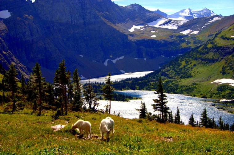 Hidden Lake in Glacier National Park, Mont.