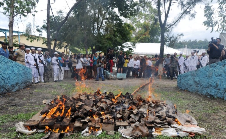 Some 120 shark dorsal fins seized to fishermen by the navy in the Caribbean Sea are incinerated in Tegucigalpa, on Thursday. Honduras created the first shark sanctuary one year ago.