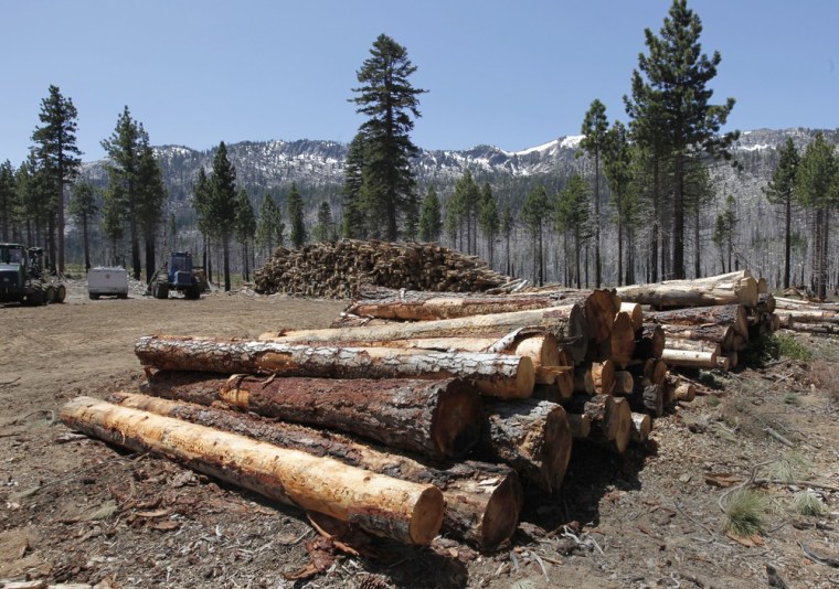 In this photo taken Monday, May 28, 2012, trees that have been cleared as part of a post-fire logging project are seen stacked for removal at the site of the 2007 Angora fire near South Lake Tahoe.