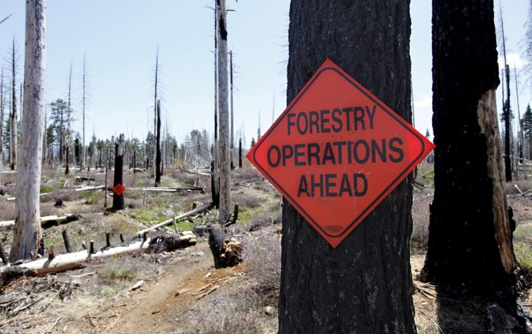 A sign warns hikers they are entering an area that is being cleared of dead trees burned in the 2007 Angora fire near South Lake Tahoe, Calif. Rare woodpecker chicks in burned forest stands at Lake Tahoe won't survive if the U.S. Forest Service proceeds with a contentious post-fire logging project, according to conservationists pressing the agency to postpone cutting around the trees until after the nesting season in August.