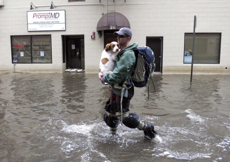 The plight of this dog, being carried to safety in storm-ravaged Hoboken, N.J., hard hit by Superstorm Sandy, illustrates the importance of having legal protections in place to ensure that such an animal will be cared for in the event something unfortunate happens to its owner during a major calamity.