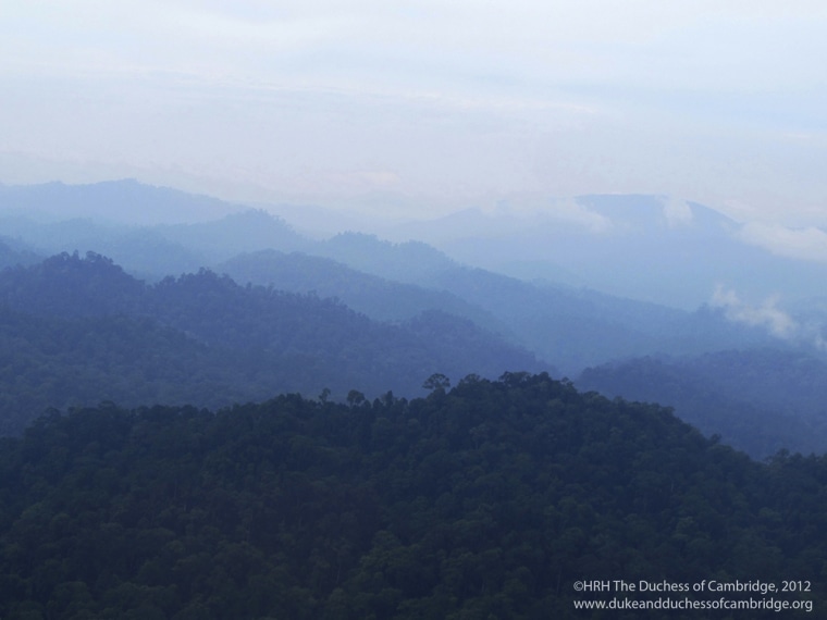 Kate took this pic of Borneo's mist-covered hills from a plane. As the royal site points out, it's