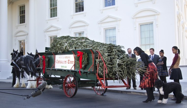 The first lady (accompanied by Sasha, Malia, and first dog Bo) takes a sniff of the tree.