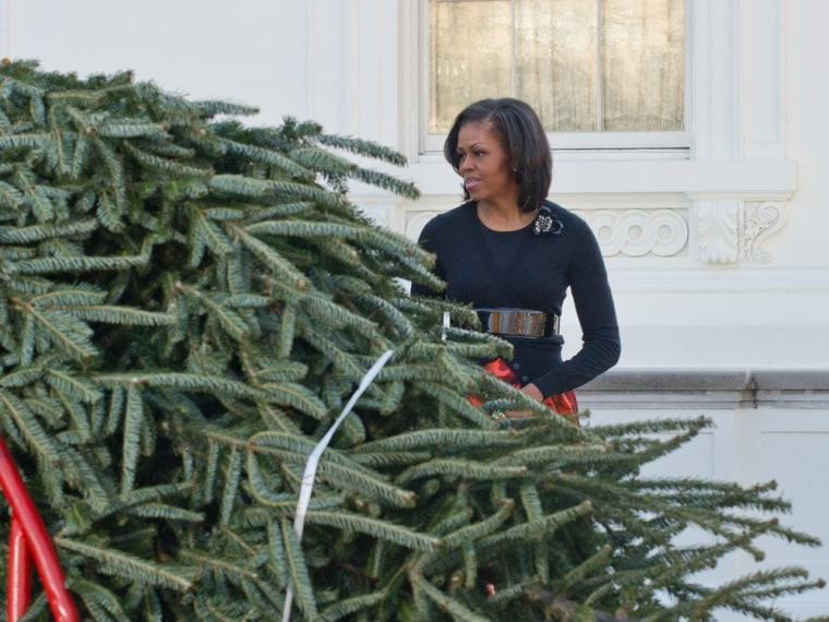 Michelle Obama looks on as the White House Christmas tree arrives.