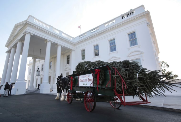 The tree arrived via horse-drawn carriage.