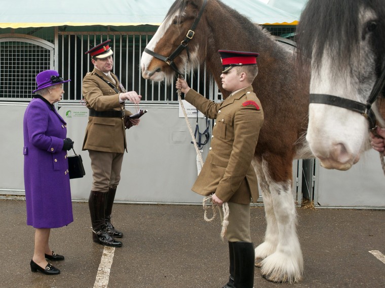 Members of the Household Cavalry show Queen Elizabeth II a horse. She also met the drum horse who was renamed Adamas, which means 'diamond' in Greek, in honor of the Queen's Diamond Jubilee.