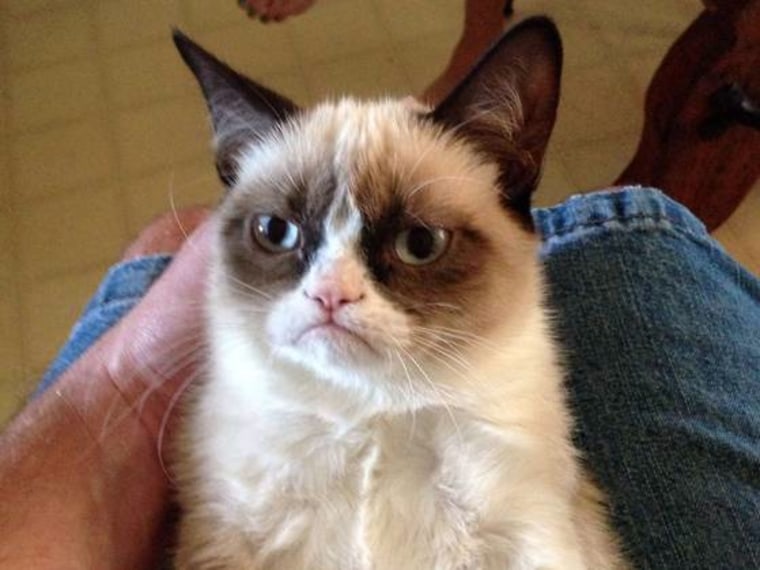 With her scowling face, Grumpy Cat, aka \"Tard,\" might seem to be a meanie. She's anything but that, says her owner.