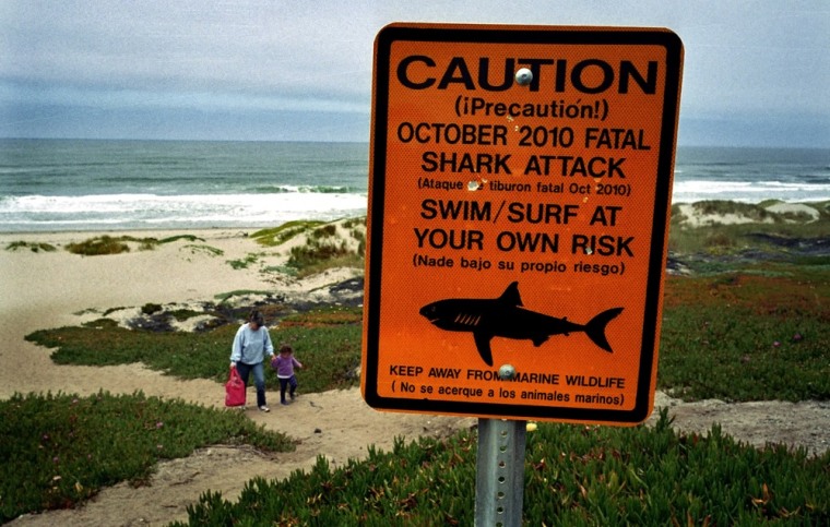 This July 2011 photo shows a shark warning sign along the Surf Beach near Lompoc, Calif. in Santa Barbara County.
