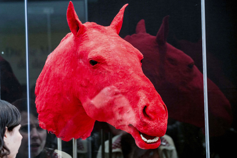 A plastinated horse's head, showing its blood system