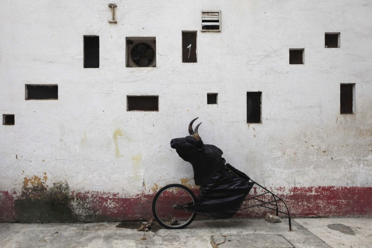 A matador's bull training aid sits at La Mexico bullring in Mexico City, Sept. 16.