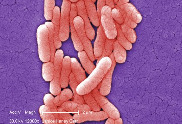 Salmonella strain that sickened 109 people, including a man who died, was initially identified only as