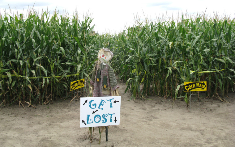 Scarecrows are known for their twisted sense of humor.