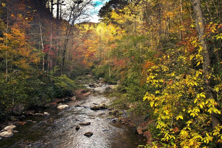 Autumn on the Tallulah River, Ga.