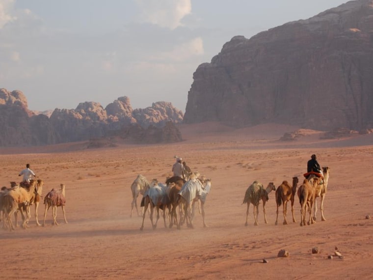 Travel Photo Of The Day: Camel Crossing In Jordan