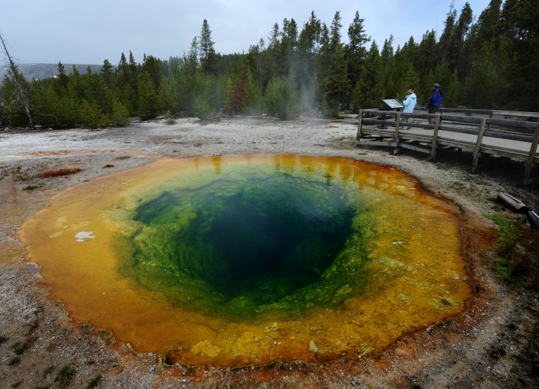 yellowstone-s-vibrant-hot-springs