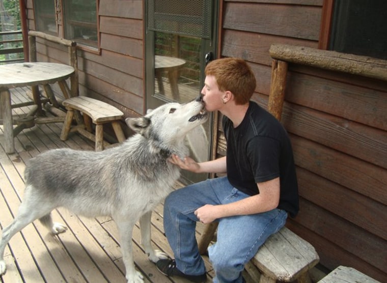 Some teenagers play video games. Others get up close and personal with wolves. Tallon Nightwalker, pictured here with a Mackenzie Valley Wolf, is trying to be photographed with as many wild animals as humanly possible.