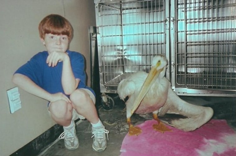 Tallon Nightwalker has been volunteering at the Larimer Humane Society since he was 5 years old, helping to nurse sick or injured animals back to health. He's pictured here with an American white pelican.