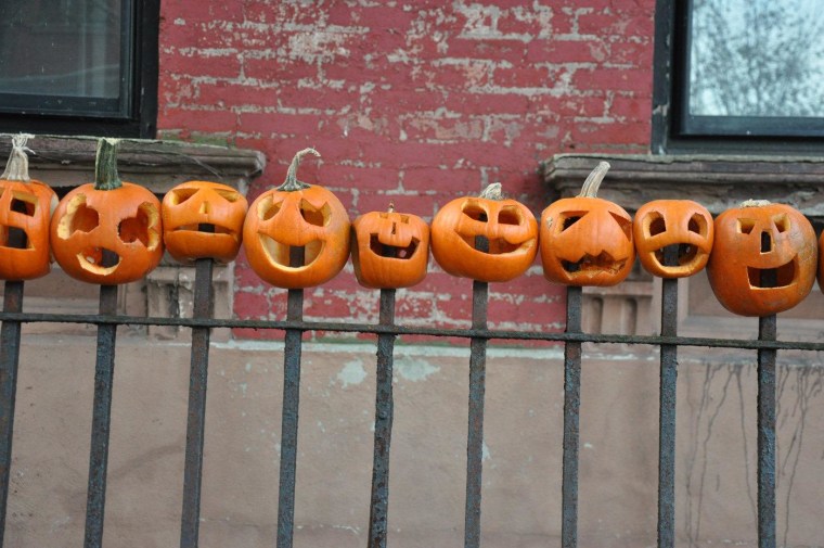 The pumpkins are put out on Halloween afternoon. Greengold couldn't continue this tradition at her new home because her fence is too short.
