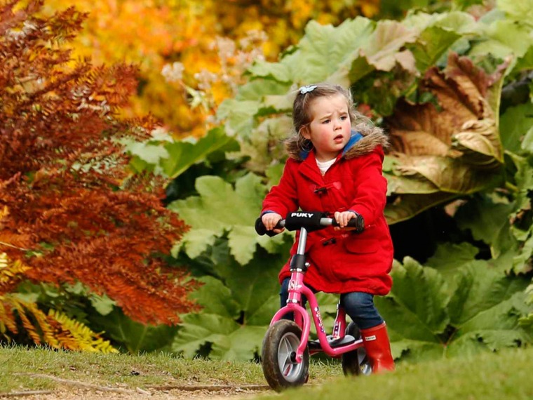 Leaves turn and crops are harvested as fall enters full swing.