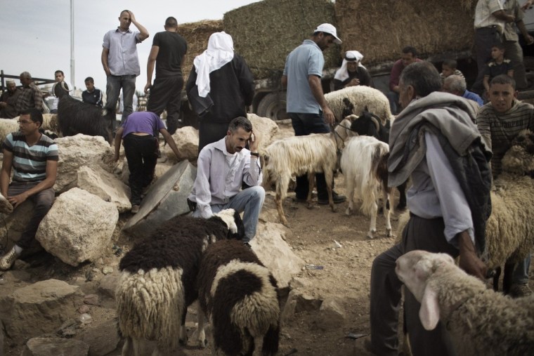 Palestinians gather at a sheep market in Bethlehem on Oct. 24, 2012, ahead of the Muslim holiday of Eid al-Adha.