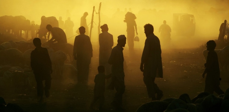 Pakistanis walk in a livestock market set up in a field, for the upcoming Muslim holiday of Eid al-Adha, during the sunset on the outskirts of Islamabad, Pakistan on Oct. 24, 2012.