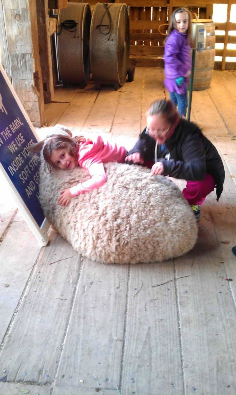 Most kids can't resist getting in on the sheep-hugging fun!