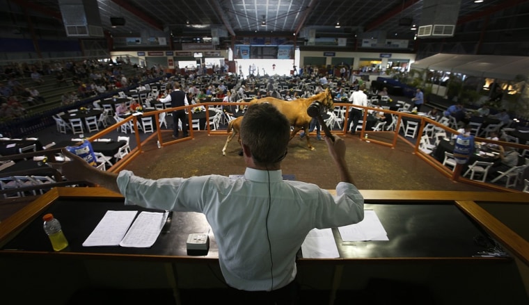 An auctioneer at the Magic Millions sales complex on Australia's Gold Coast brings his hammer down during an auction of Broodmares from Patinack Farm on October 30, 2012.