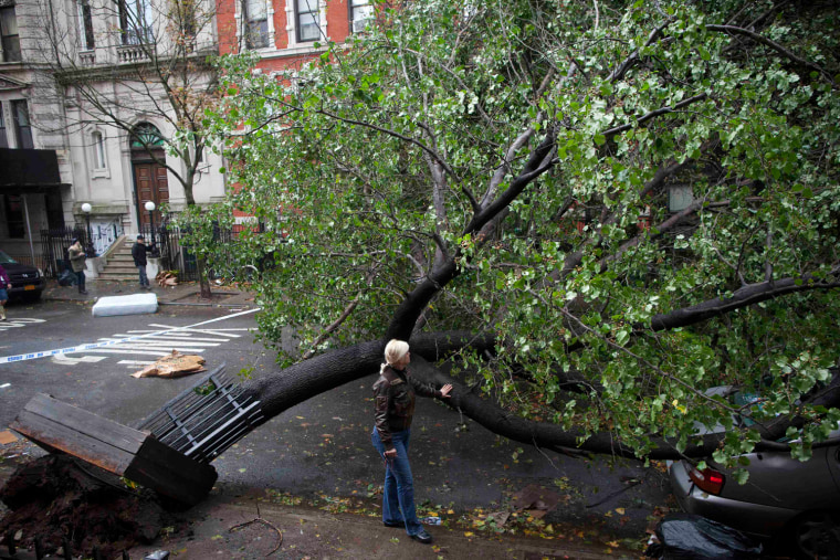 A woman touches a fallen tree in Manhattan's Alphabet City neighborhood in the aftermath of Hurricane Sandy in New York October 30, 2012. Millions of people across the eastern United States awoke on Tuesday to scenes of destruction wrought by monster storm Sandy, which knocked out power to huge swathes of the nation's most densely populated region, swamped New York's subway system and submerged streets in Manhattan's financial district. REUTERS/Andrew Kelly (UNITED STATES - Tags: DISASTER ENVIRONMENT)