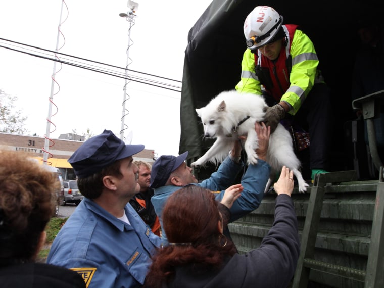 These residents of Little Ferry, N.J., also evacuated on Tuesday with their dog.