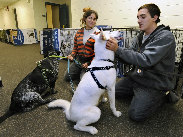 Sarah Korman and Michael Cunba, who evacuated their home in Long Beach, N.Y., were able to bring their dogs Jade, left, and Ava to a pet shelter run b...