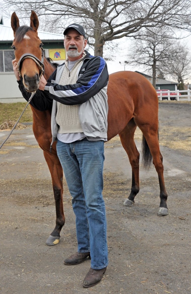 Peter Vitulli is the proud new owner of a 5-year-old mare named Sheza Heartbreaker.