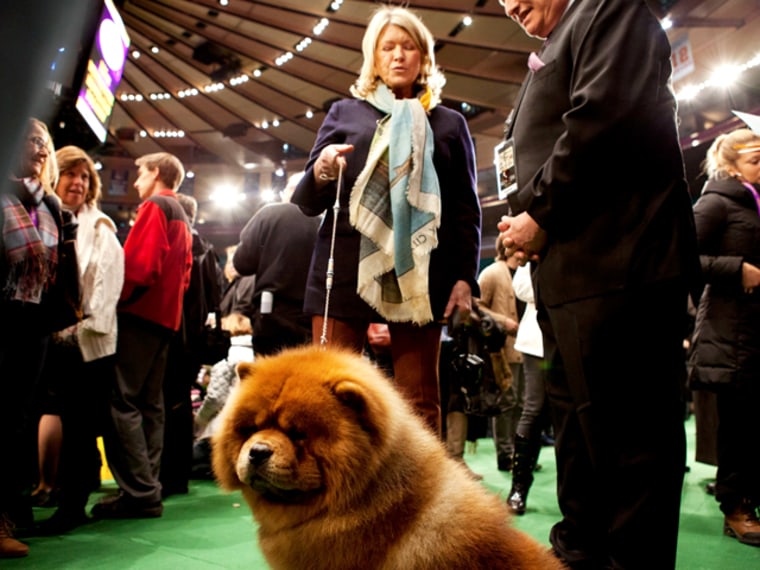 Martha Stewart and her dog Ghenghis Khan, who competed in the Chow Chow category and won the Best of Breed award, at The Westminster Kennel Club 136th Annual Dog Show in New York, on Feb. 13.