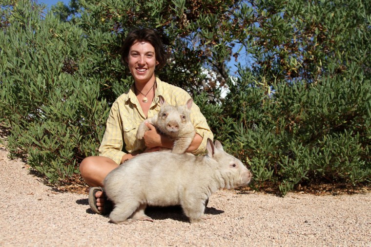 Rescue center manager Val Salmon sits with the wombats that she helped nurse back to health.