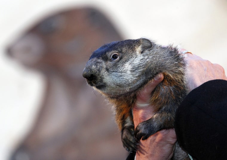 Punxsutawney Phil Thursday morning. Sorry everyone; spring fever will have to wait.