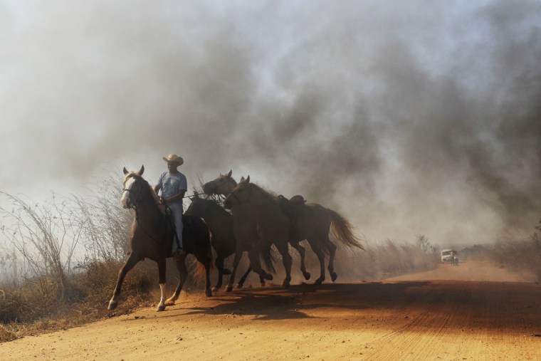 A man leads his horses away as firefighters try to extinguish a fire in rural Brazil, Sept. 3.