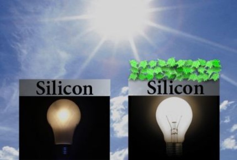 Graphic of light bulbs, one with spinach