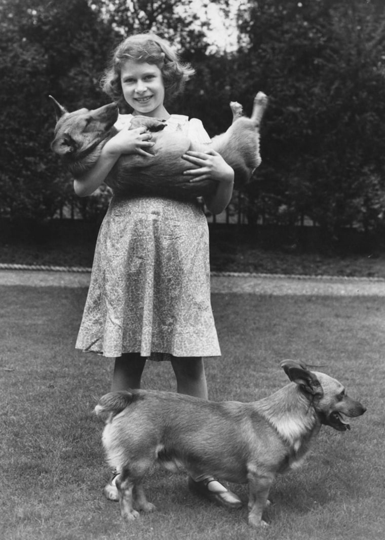 And here is the future Queen as a young girl with her corgis in 1936.