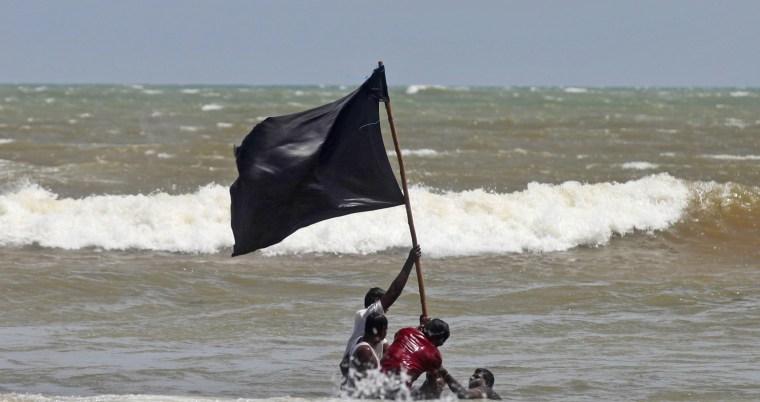 Activists hold high a black flag during a protest against the Russian-built plant.