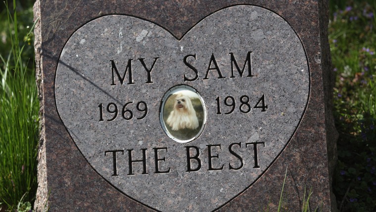 A gravestone marks a pet's final resting place at the Hartsdale Pet Cemetery in Hartsdale, N.Y.