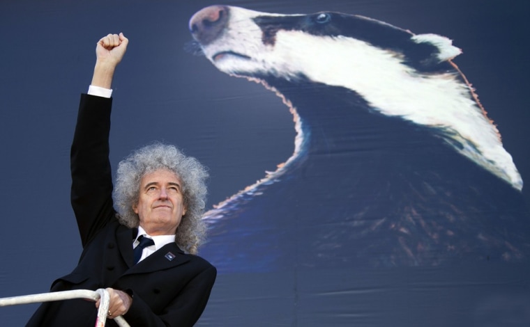 Brian May launches the national Team Badger campaign in front of a giant billboard in London on Wednesday, Sept. 19.