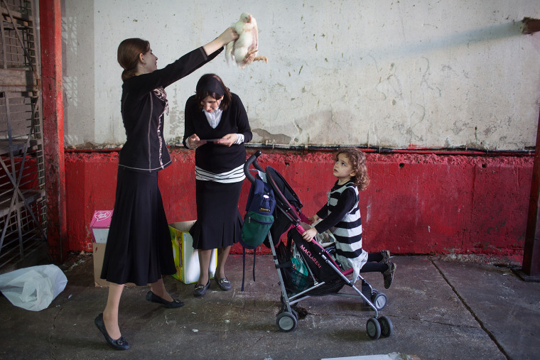 Ultra-Orthodox Jews perform Kaparot ritual