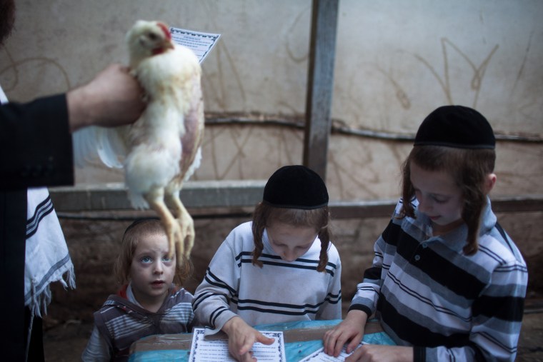Ultra-Orthodox Jews perform Kaparot ritual