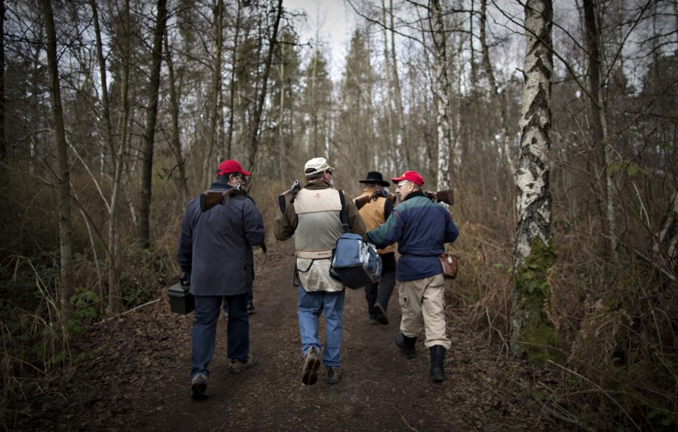 Sporting clays shooters walk through a wooded area to their next position. the game is shot in a group of at least three shooters. One person operates the throwing machine, one is the scorekeeper and the third shoots at the station.