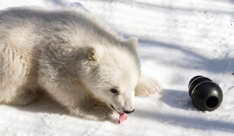 Tasting snow