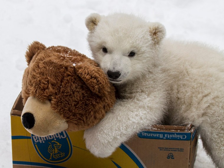 Kali and stuffed bear.